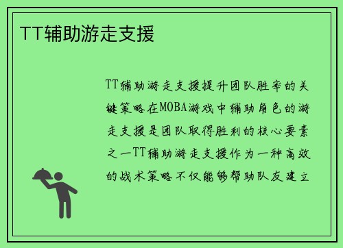 TT辅助游走支援
